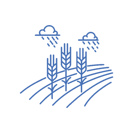 Фугитивни емисии